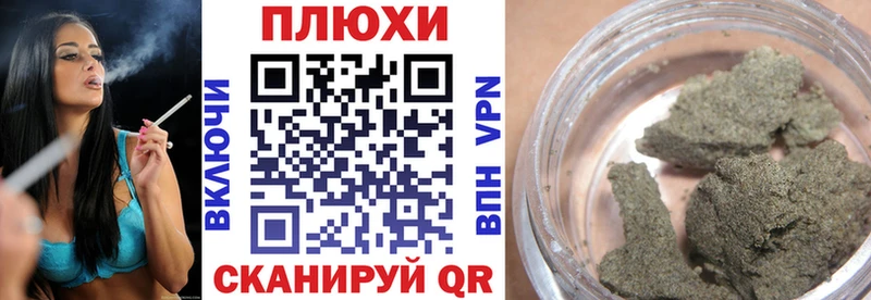 закладка Циолковский ГАШИШ индика сатива