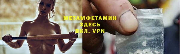 прущие грибы Новозыбков